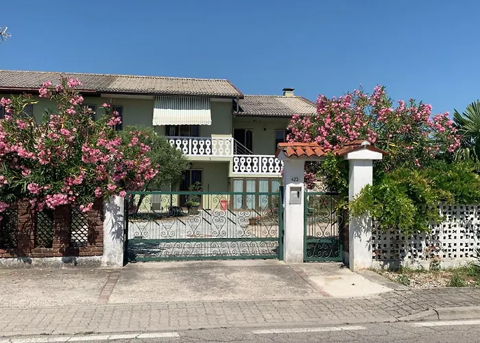 Palma Verde