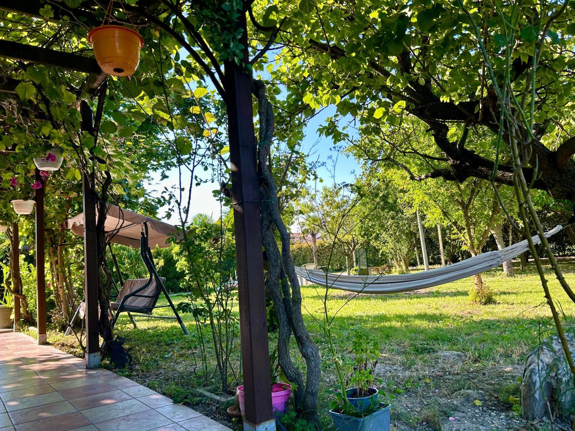 Palma Homestay *