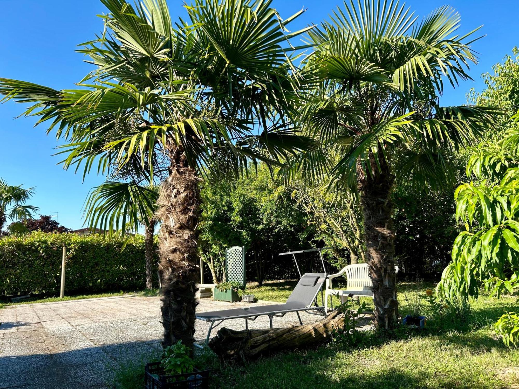 Palma Homestay